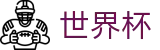 美加墨世界杯购彩服务平台 | 管理门户入口和赛事中心